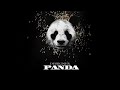Desiigner   Panda Official Audio