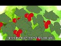 54. 조선야담.😡세번째 구멍은 어디에 쓰느냐?   #야담 #조선야담 #옛날이야기 #민담