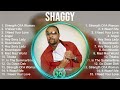 Shaggy Greatest Hits ~ Best Songs Of 80s 90s Old Music Hits Collection