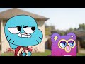 Darwin VS Fuzzy: The Fight For Gumball's BFF | Gumball | Cartoon Network