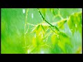 10 Minutes of relaxing rain sounds for Meditation. Ideal for Beginners