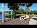 Exploring Pelican Bay Community Park In Naples, Florida!