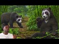 Should We Let Nature Finally Delete Pandas?