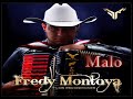 FREDY MONTOYA -  MALO