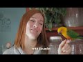 Bird Training Session! | Macaw, Parakeet