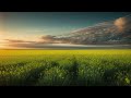 Growing Nature | 852Hz | Spiritual Resonance - Music for opening new dimensions
