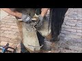 Farrier at work / Hovslagare i arbete