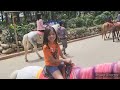 Baguio Philippines Katelyn horseback riding