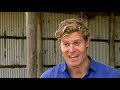 Dr Chris Gets Handsy With 1200KG Bull | Bondi Vet Clips | Bondi Vet