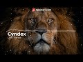 Lion Trance - Cyndex
