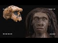 Historic Fossil Discoveries Outside of Africa Change Human History