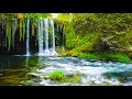 Beautiful Waterfall With  Relaxing Piano Music For Stress Relief, Meditation, Study & Deep Sleep.