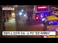 [영상] 페루 도심 한복판에 '성난 황소'...사람 들이받고서 현장 수습 / YTN