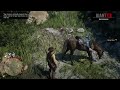 Almost killed my horse trying to escape the law 🤣🤣🐎 #RDR2
