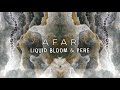 Liquid Bloom & PERE - Afar (Organica | Ethnic House | Folktronica}