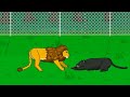 THE BIG CATS TOURNAMENT ANIMATION