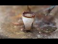 making unique design silver ring - handmade silver carving jewelry