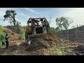 Very good! CAT D6R XL Bulldozer Builds New Road for Residents' Gardens