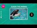 6 Second Challenge: Identify 40 Animals | Easy to Impossible