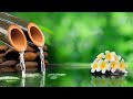 Music to calm the mind and heal insomnia - Soothing piano music and Flowing Water Sounds