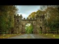 Magical Forest - Enchanted Celtic Woods (Album)