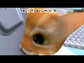 The history of ROBLOX glitches (2004 - 2022)