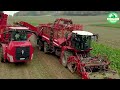 The Most Modern Agriculture Machines That Are At Another Level, How To Harvest Pineapples In Farm ▶3