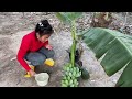 Amazing Best: Growing Banana Tree from Watermelon With Egge and ​Quick And Easy techniques