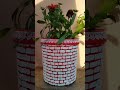 #DIY with waste containers | Container Planter ideas #shorts #youtubeshorts #viral #trending
