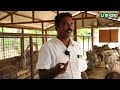 Donkey milk ஒரு லிட்டர் ₹ 3,000 | லட்சங்களில் வருமானம் ஈட்டும் விவசாயி | most expensive milk