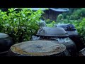 It is the sound of rain falling on the hanok Jangdokdae