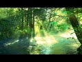 Beautiful Calming Music for Stress Relief • Meditation Music, Study Music, Spa music