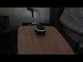 Does Alexa work for the lizard people?