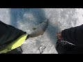 My First Laker - Ice Fishing Lake Simcoe 2020