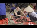 Harvesting Mangosteen fruits in my garden & Make jelly in many atractive shapes, Goes to market sell