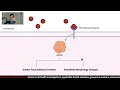 Do Fish Oils (Omega-3 Fats) reduce Cardiovascular Disease Risk? [Study 301-305 Analysis]