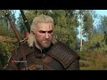 There is nothing behind Geralt - Witcher 3