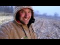 Harvesting Corn