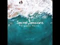 Secret Sessions (Organic House)