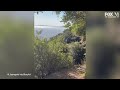 Woman faces off with bear on Southern California hiking trail