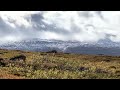 Amazing 1350KM Solo Thru Hiking in the Swedish Mountains | EPISODE 45 | 85 Days | Gröna Bandet 2023