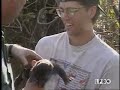 The Atchafalaya | Rivers Run Deep | Lost Louisiana | 2000