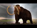 15 INCREDIBLE Prehistoric Animals