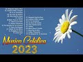 Musicas Catolicas Mais Tocadas 2023 🙏 Lindas músicas religiosas católicas de louvor e adoracão