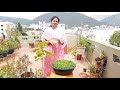 Epsom salt gardening uses .ఎప్సం సాల్ట్ ను మొక్కల పెంపకంలో ఎలా వాడొచ్చు?#epsomsalt