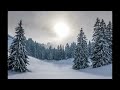 Winter landscape, winter mood, snow landscape, relax music, relaxation