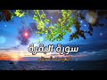 الشيخ ماهر المعيقلي سورة البقرة النسخة الأصلية   Surat Albaqra Official Audio