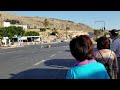 Wild goats around Lindos Acropolis