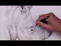 How To Draw a Rhinoceros | Sketch Art Tutorial
