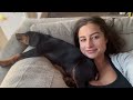 PUPPY VLOG: Bringing home our 8 week old Doberman puppy, essentials for a New Puppy & first 24 hours